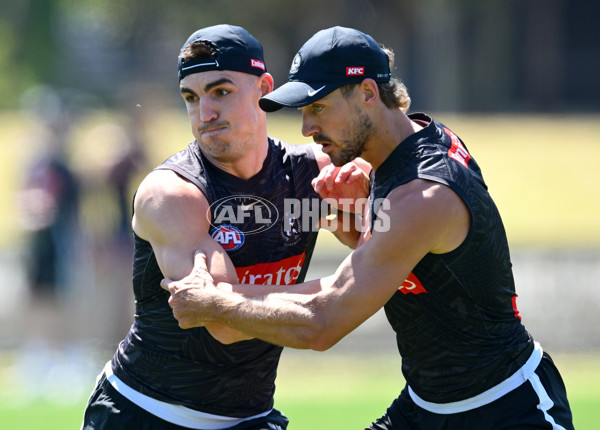 AFL 2024 Training - Collingwood 111124 - A-55687624