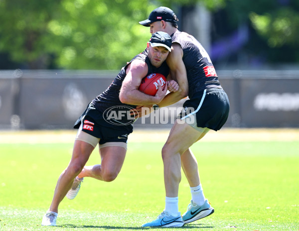 AFL 2024 Training - Collingwood 111124 - A-55687625