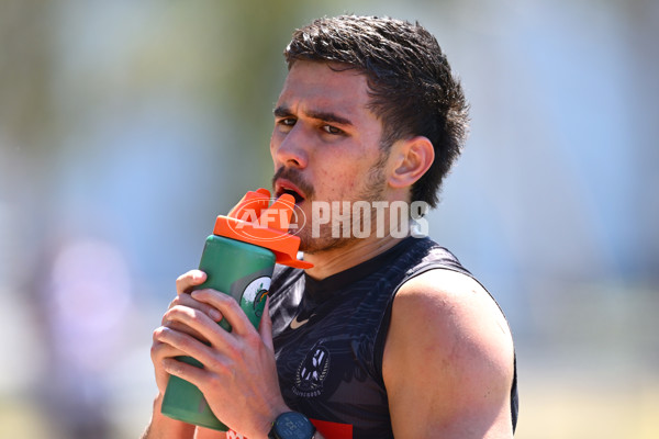 AFL 2024 Training - Collingwood 111124 - A-55687635