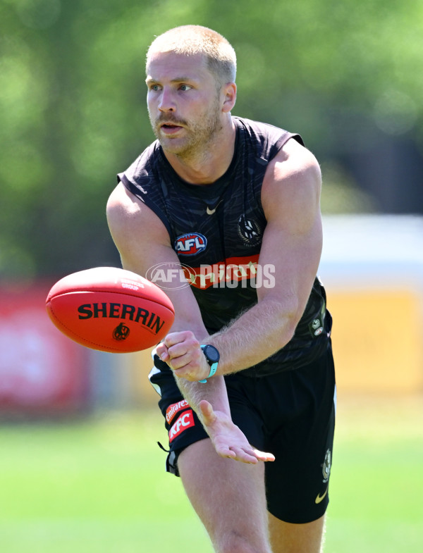 AFL 2024 Training - Collingwood 111124 - A-55687637