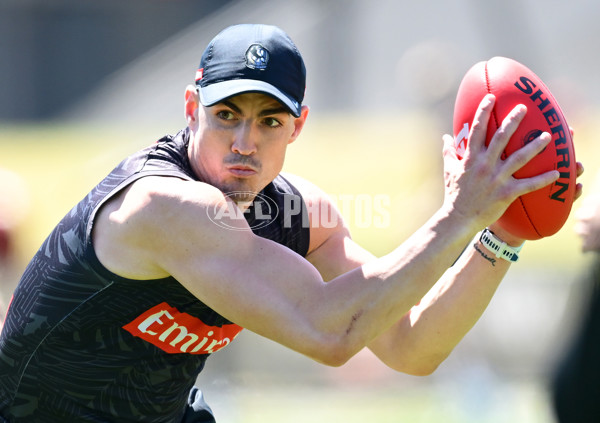 AFL 2024 Training - Collingwood 111124 - A-55687657