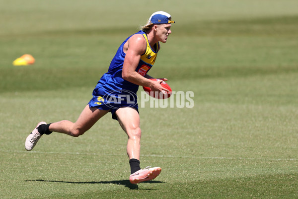 AFL 2024 Training - West Coast 111124 - A-55688276