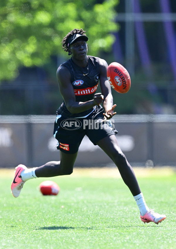 AFL 2024 Training - Collingwood 111124 - A-55688280