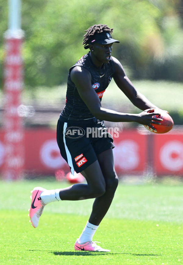 AFL 2024 Training - Collingwood 111124 - A-55688281