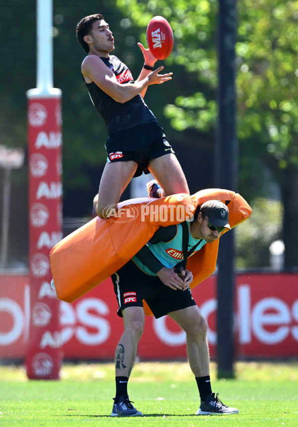 AFL 2024 Training - Collingwood 111124 - A-55688286