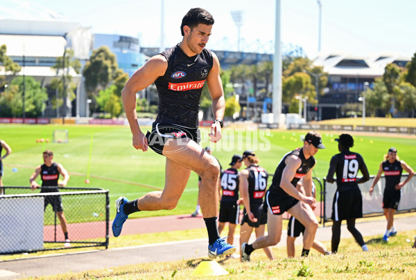 AFL 2024 Training - Collingwood 111124 - A-55688288