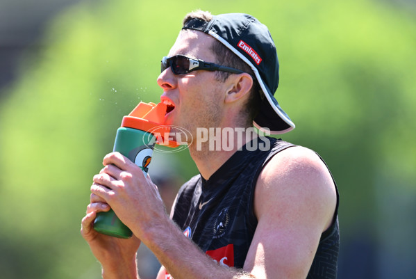 AFL 2024 Training - Collingwood 111124 - A-55688291