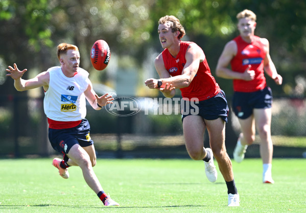 AFL 2024 Training - Melbourne 111124 - A-55688314