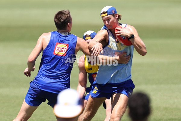 AFL 2024 Training - West Coast 111124 - A-55688327