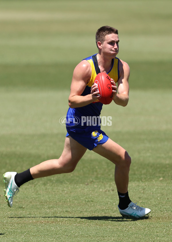 AFL 2024 Training - West Coast 111124 - A-55688328