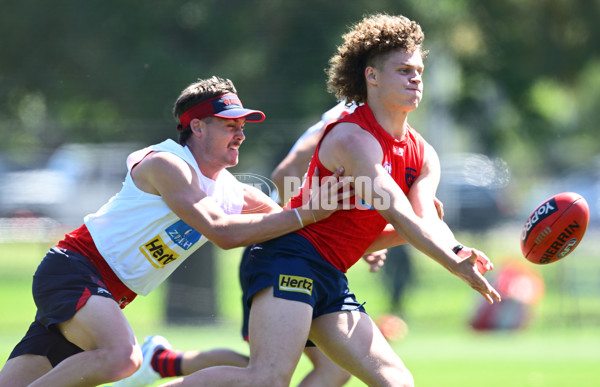 AFL 2024 Training - Melbourne 111124 - A-55690604