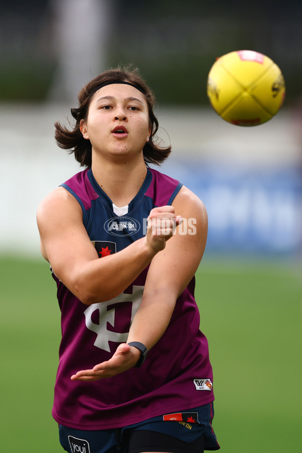 AFLW 2024 Training - Brisbane 131124 - A-55693256