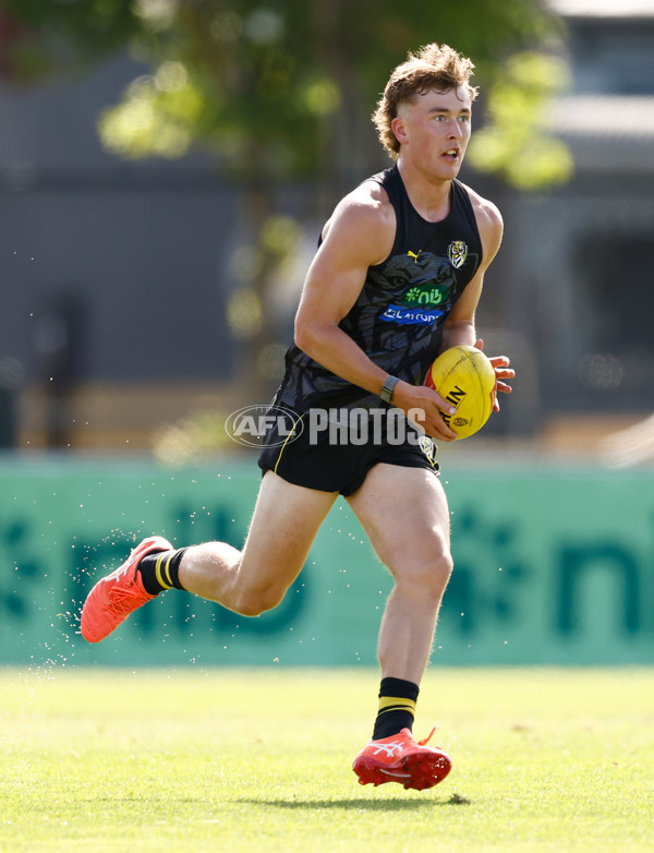 AFL 2024 Training - Richmond 151124 - A-55698079