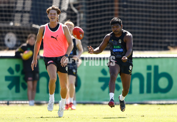 AFL 2024 Training - Richmond 151124 - A-55698082