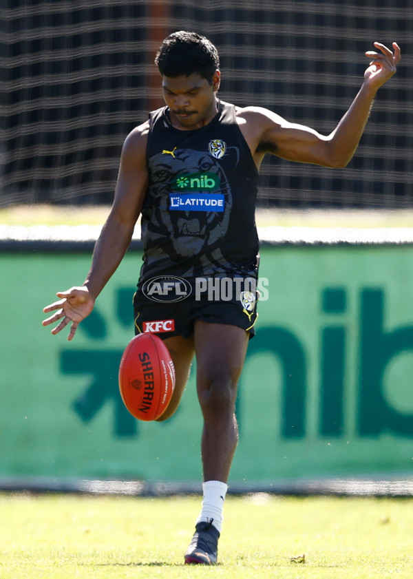 AFL 2024 Training - Richmond 151124 - A-55698084