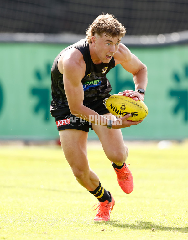 AFL 2024 Training - Richmond 151124 - A-55698101