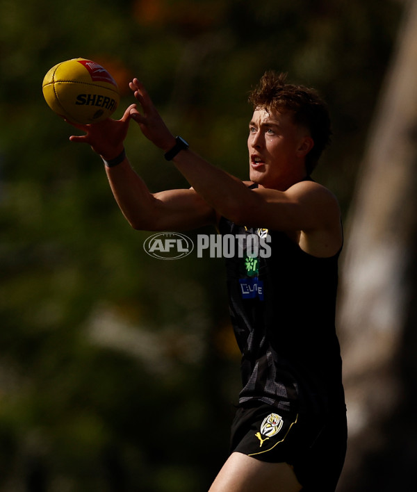 AFL 2024 Training - Richmond 151124 - A-55698111