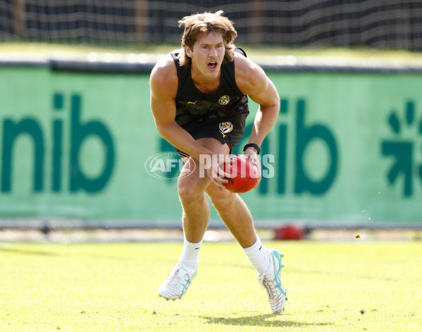 AFL 2024 Training - Richmond 151124 - A-55698117