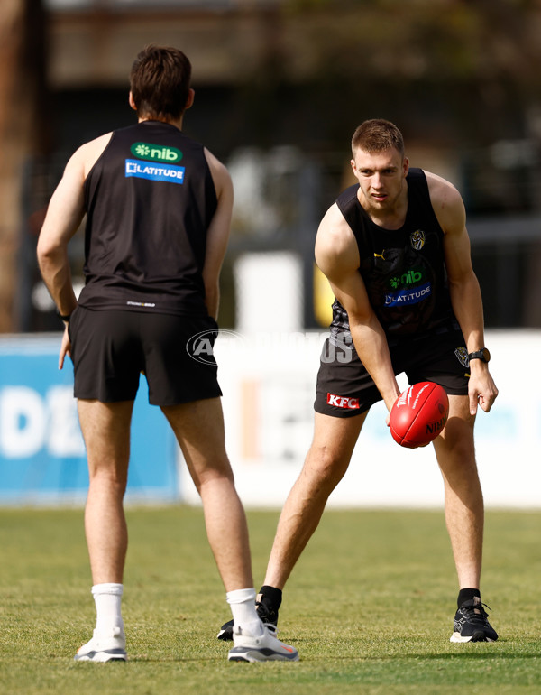 AFL 2024 Training - Richmond 151124 - A-55700188