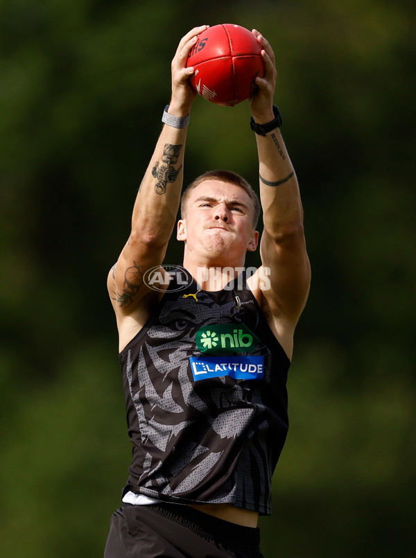 AFL 2024 Training - Richmond 151124 - A-55700193