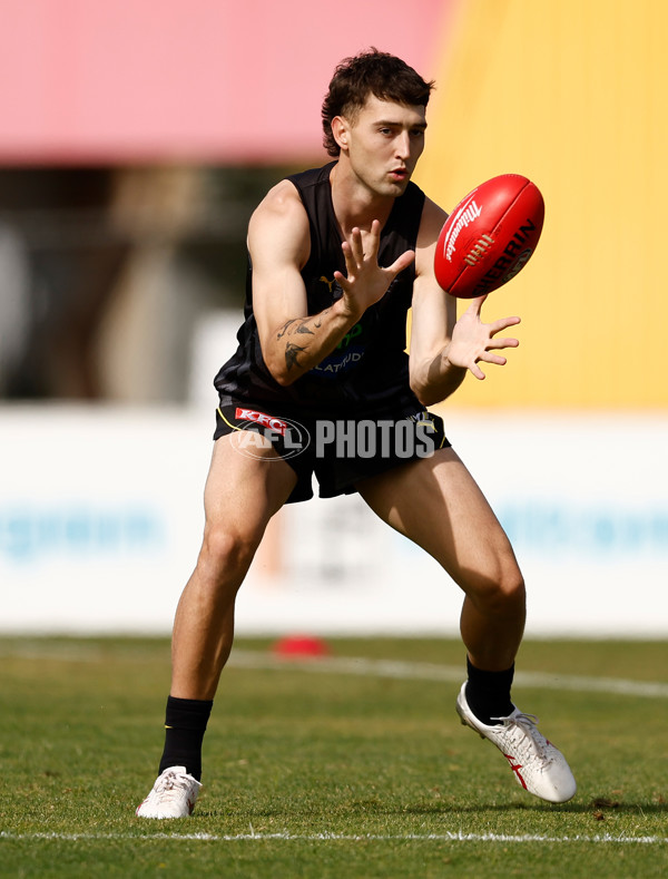 AFL 2024 Training - Richmond 151124 - A-55700199