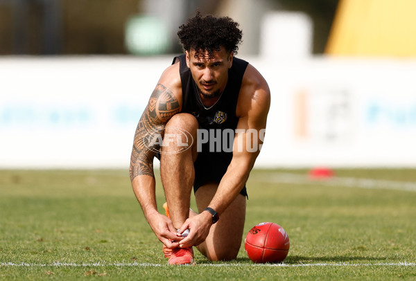 AFL 2024 Training - Richmond 151124 - A-55700202