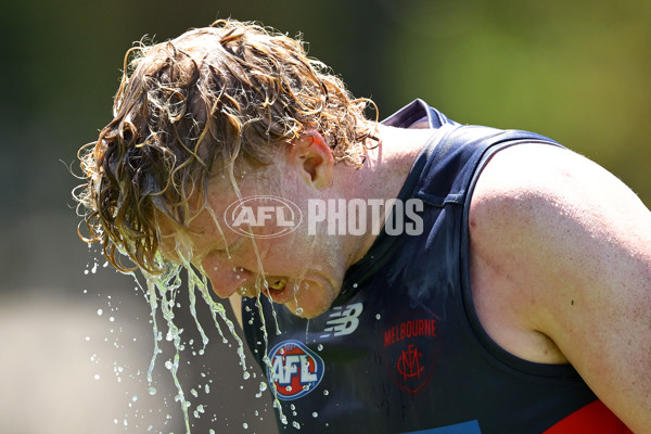 AFL 2024 Training - Melbourne 221124 - A-55750945