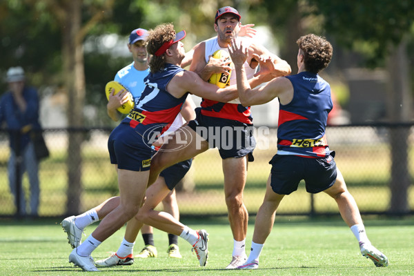 AFL 2024 Training - Melbourne 221124 - A-55750952