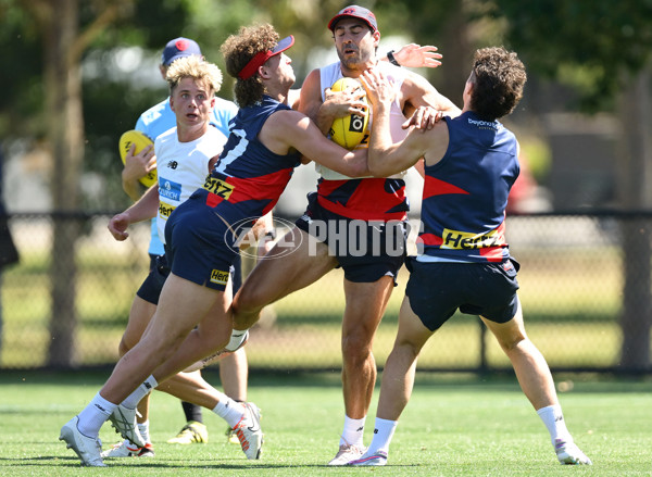 AFL 2024 Training - Melbourne 221124 - A-55750953