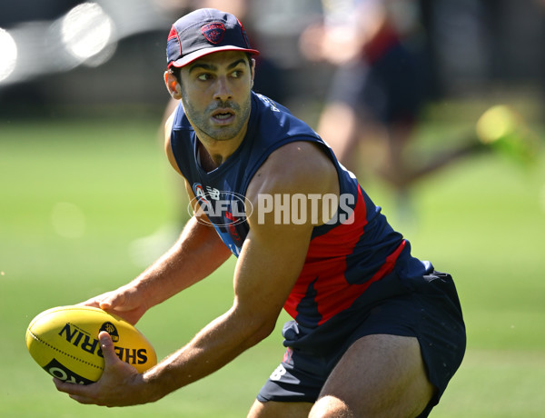 AFL 2024 Training - Melbourne 221124 - A-55750957