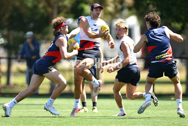 AFL 2024 Training - Melbourne 221124 - A-55750984