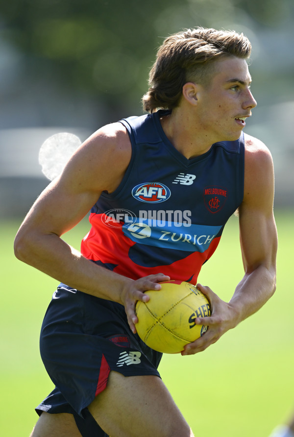 AFL 2024 Training - Melbourne 221124 - A-55751451