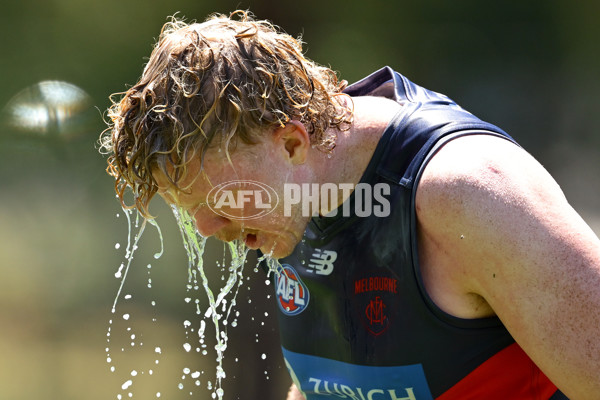 AFL 2024 Training - Melbourne 221124 - A-55751462