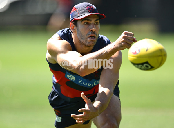 AFL 2024 Training - Melbourne 221124 - A-55753730