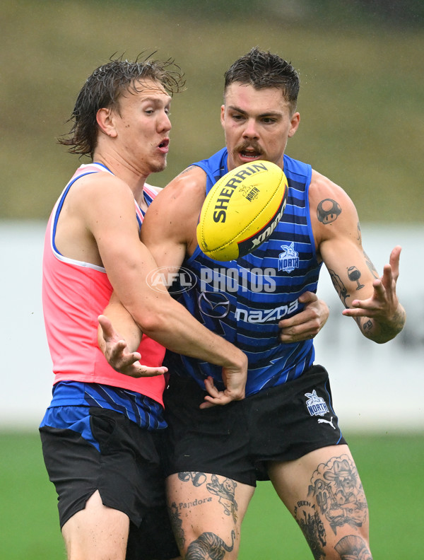 AFL 2024 Training - North Melbourne 251124 - A-55776868