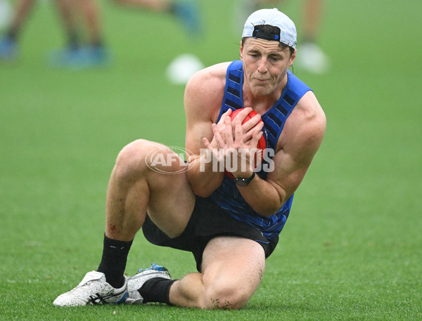 AFL 2024 Training - North Melbourne 251124 - A-55776896