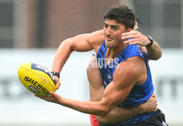 AFL 2024 Training - North Melbourne 251124 - A-55780702