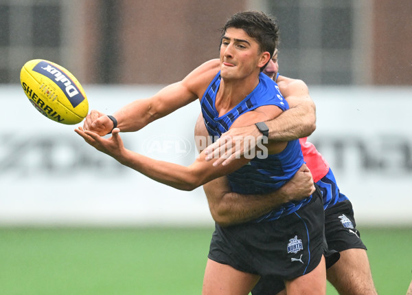 AFL 2024 Training - North Melbourne 251124 - A-55780704