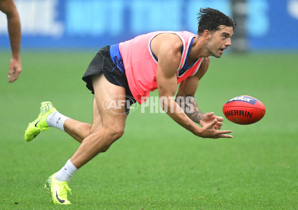 AFL 2024 Training - North Melbourne 251124 - A-55780712