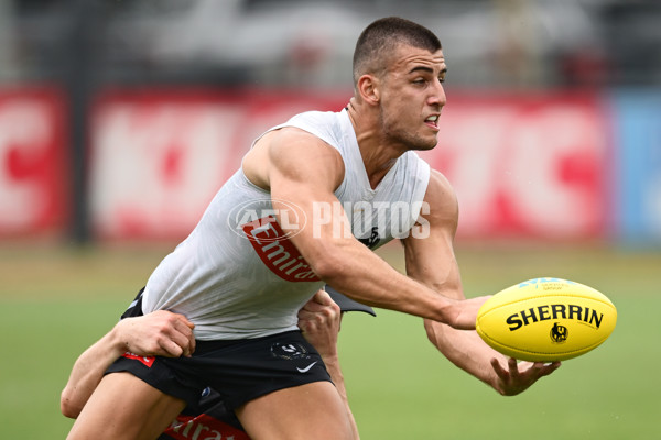 AFL 2024 Training - Collingwood 261124 - A-55797980