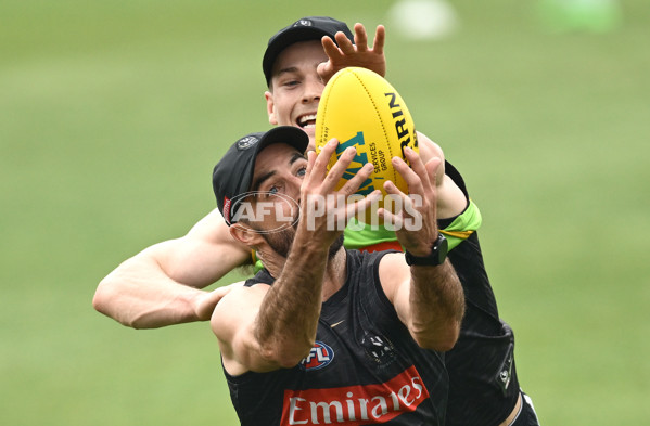 AFL 2024 Training - Collingwood 261124 - A-55797984