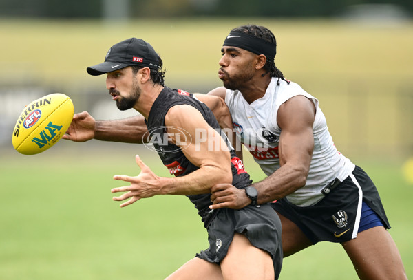 AFL 2024 Training - Collingwood 261124 - A-55797997