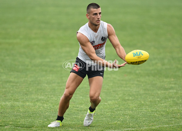 AFL 2024 Training - Collingwood 261124 - A-55798013