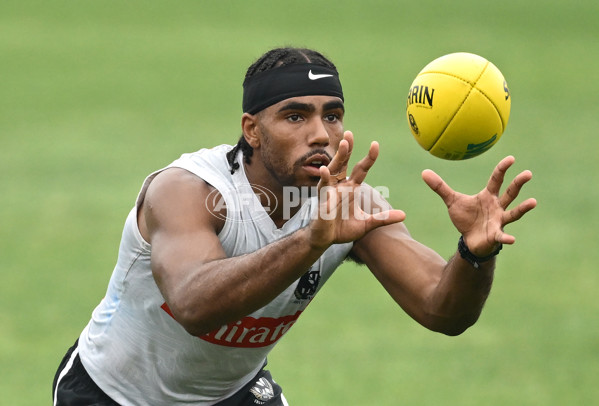 AFL 2024 Training - Collingwood 261124 - A-55798014