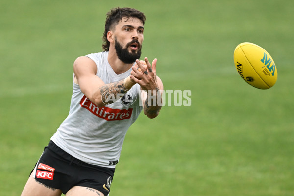 AFL 2024 Training - Collingwood 261124 - A-55798021