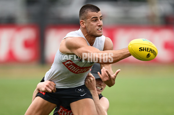 AFL 2024 Training - Collingwood 261124 - A-55798481