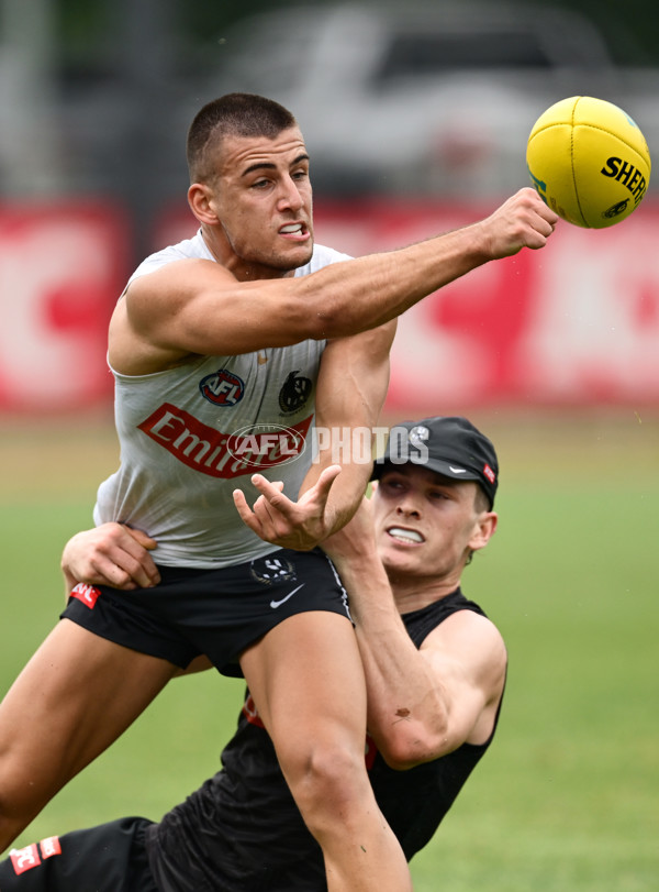 AFL 2024 Training - Collingwood 261124 - A-55798482