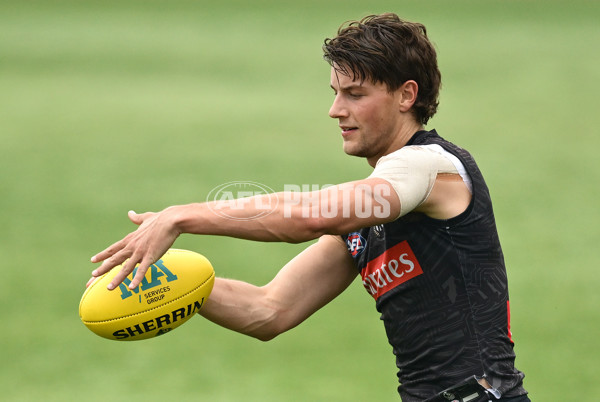 AFL 2024 Training - Collingwood 261124 - A-55798483