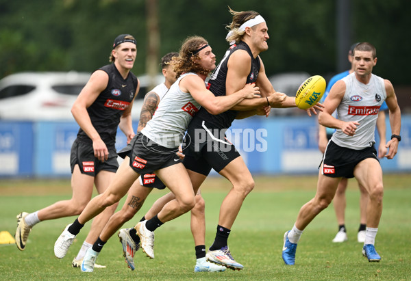 AFL 2024 Training - Collingwood 261124 - A-55798489