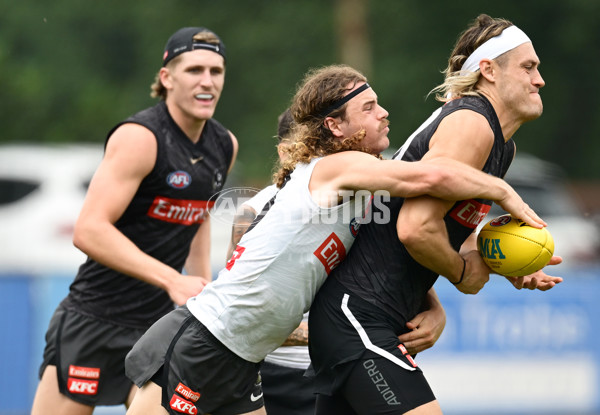 AFL 2024 Training - Collingwood 261124 - A-55798490